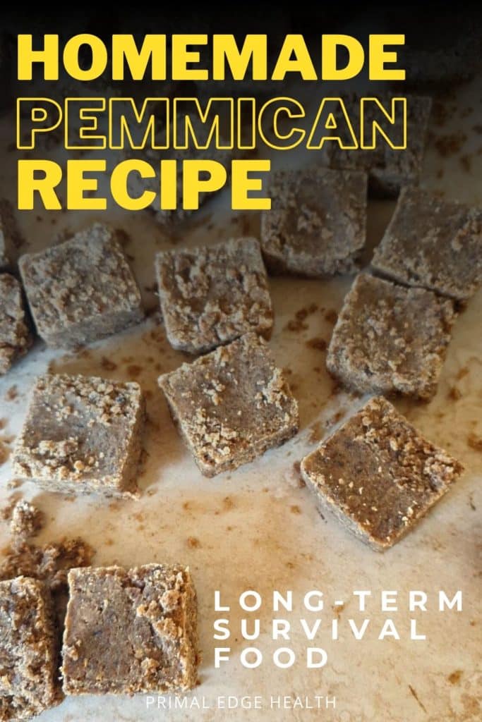 Homemade Pemmican Recipe With Organ Meat