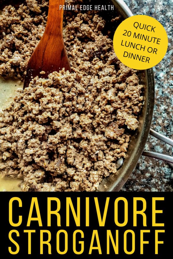 Carnivore Stroganoff Recipe with Ground Beef